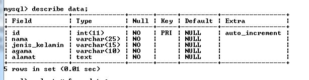 cara-import-data-dari-ms-exel-ke-database-mysql